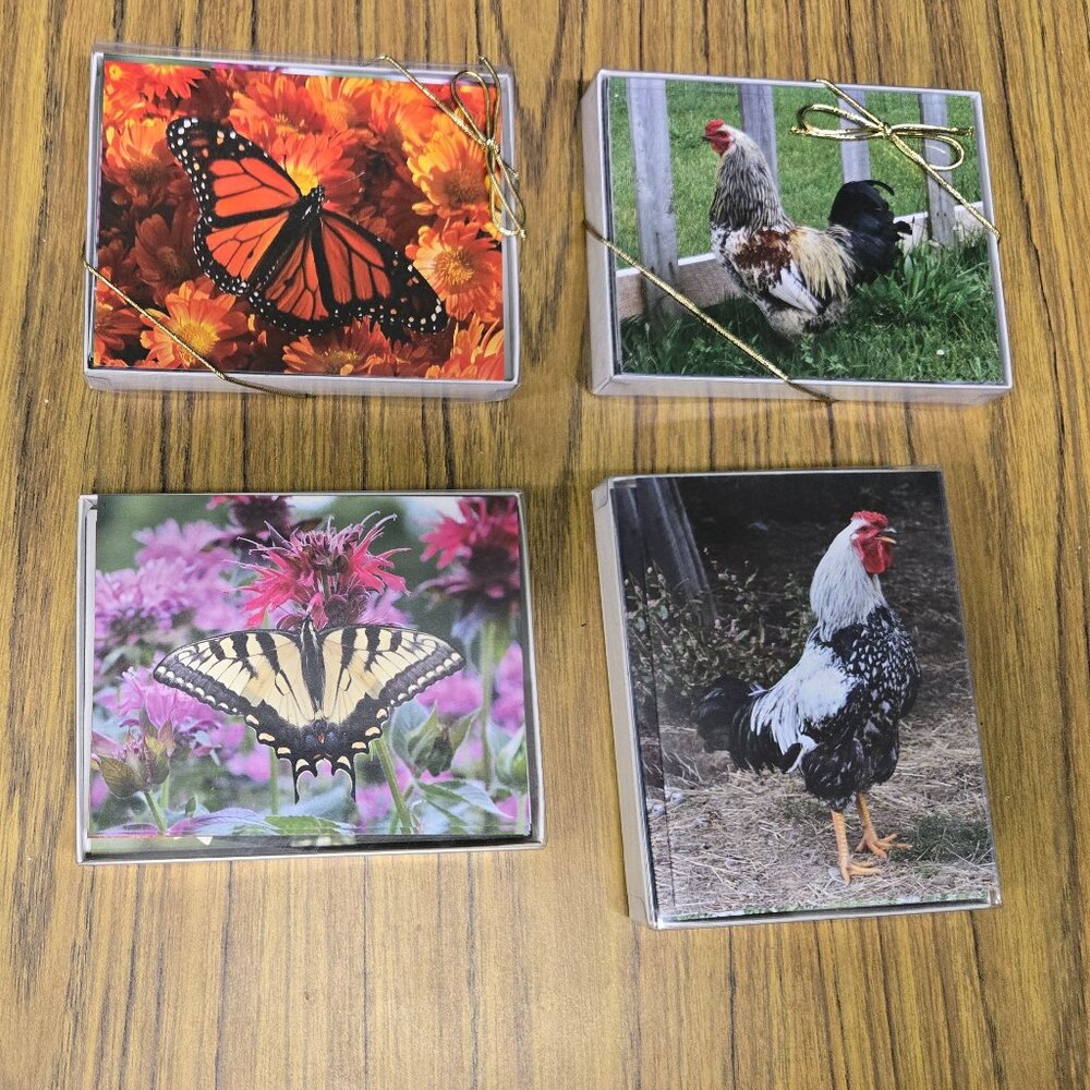 Four Boxes of Blank Notecards (48 total) with Birds and Butterflies